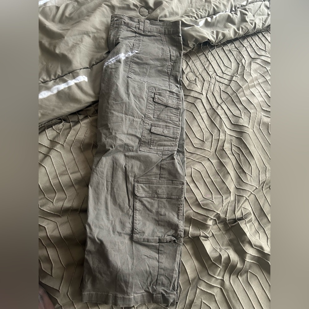 Wilde Fable Cargo Pants